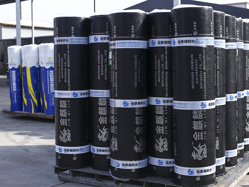 Chemical resistance SBS root piercing waterproof coil