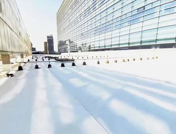 Thermoplastic polyolefin TPO waterproof coil